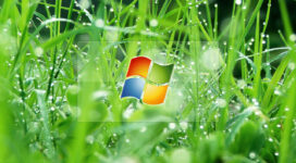 Windows Glass Effect902139891 272x150 - Windows Glass Effect - Windows, Glass, Effect
